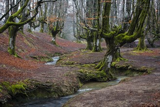 Gorbea Natural Park