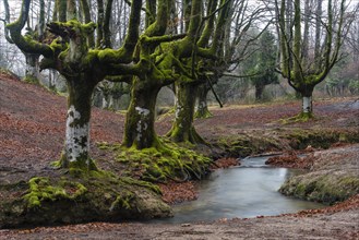 Gorbea Natural Park