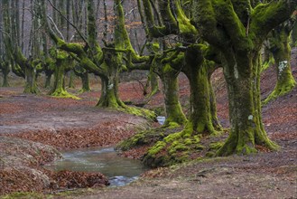 Gorbea Natural Park