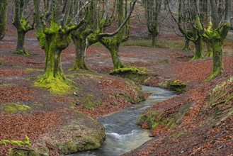 Gorbea Natural Park