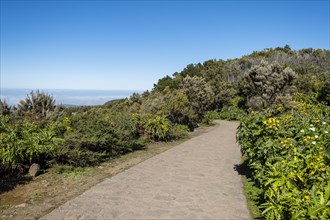 Hiking trail to the highest point of the island