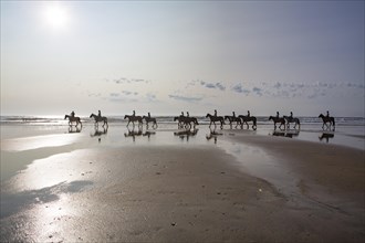 Group of riders on horses backlit on the beach