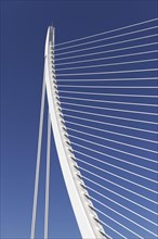 Harp-shaped cable-stayed bridge