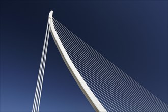 Harp-shaped cable-stayed bridge