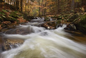 Mountain creek Ilse flows through autumnally coloured deciduous forest