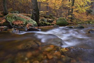 Mountain creek Ilse flows through autumnally coloured deciduous forest