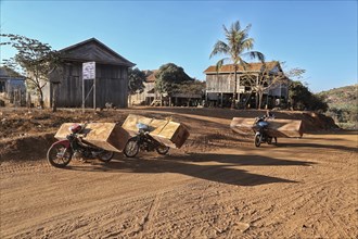 Illegal timber transport by moped on the way to Vietnam