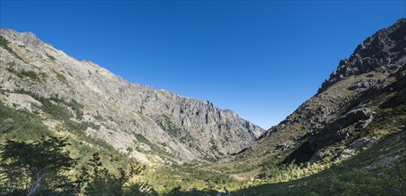Restonica river flows at its source through mountain valley