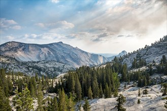 View towards High Sierra