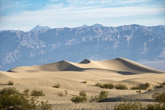 Mesquite Flat Sand Dunes