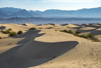 Mesquite Flat Sand Dunes