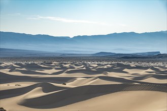 Mesquite Flat Sand Dunes