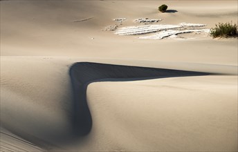 Sand Dune Mesquite Flat Sand Dunes
