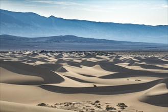 Mesquite Flat Sand Dunes