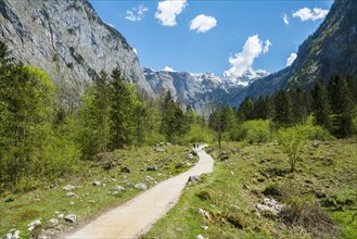 Trail from the Salet-Alm to Obersee