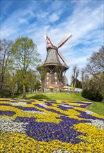 Windmill with colorful flowerbeds