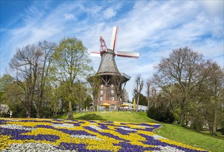 Windmill with colorful flowerbeds