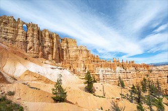 Rock arches Window Section