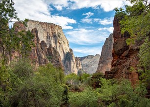 View in Zion Canyon with Mount Great White Throne