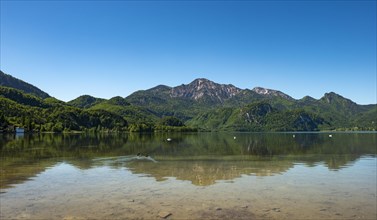 Herzogstand reflected in Lake Kochel