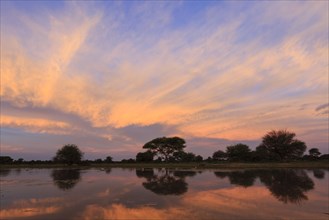 Waterhole at sunset