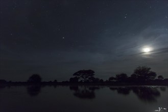 Waterhole at night
