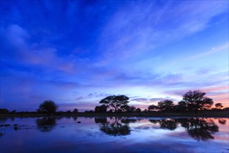 Sunrise at waterhole
