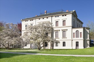 Gallery Villa Merkel with magnolias