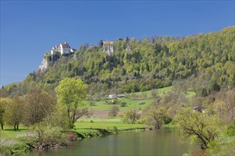 Werenwag Castle in spring
