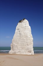 Pizzomunno limestone rock