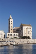 Cathedral San Nicola Pellegrino