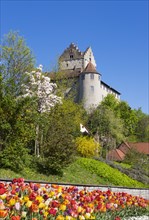 Meersburg castle in spring