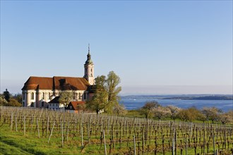 Pilgrimage church Birnau with vineyard and Lake Constance