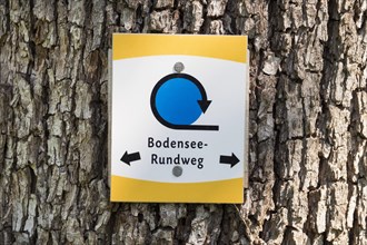 Sign Lake Constance circular trail on tree in Langenargen