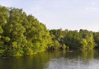 Wohrder Lake