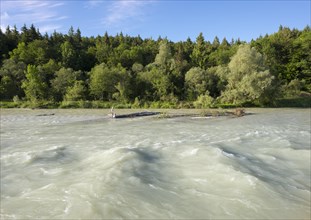 Isar with floods