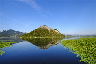 Lake Skadar