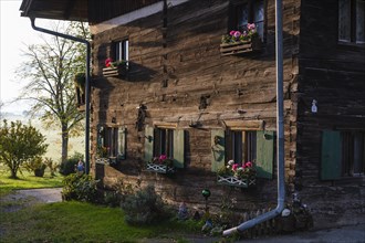 Wooden farmhouse