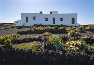 House with garden on lava gravel