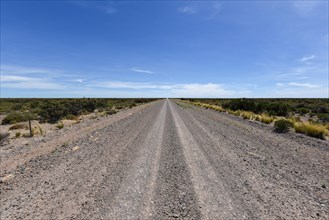 Long straight gravel road through the Pampa to the horizon