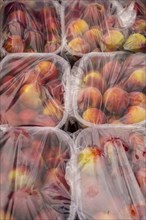 Nectarines packed in plastic