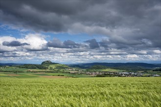 Grain fields