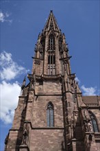 116m high tower of the Cathedral
