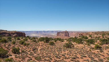 Canyon Landscape