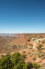 Canyon Landscape