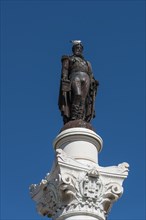 Monument Dom Pedro IV. with pigeon on his head