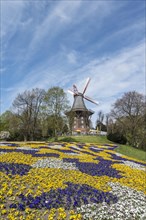 Colorful flowerbeds with windmill and ramparts
