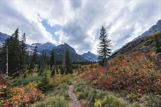 Hiking trail through mountain landscape in autumn to Upper Two Medicine Lake