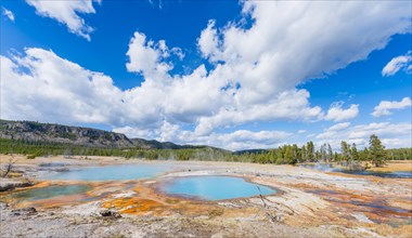 Black Opal Pool