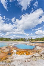 Black Opal Pool